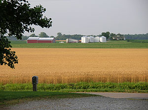 Southern Illinois Farm